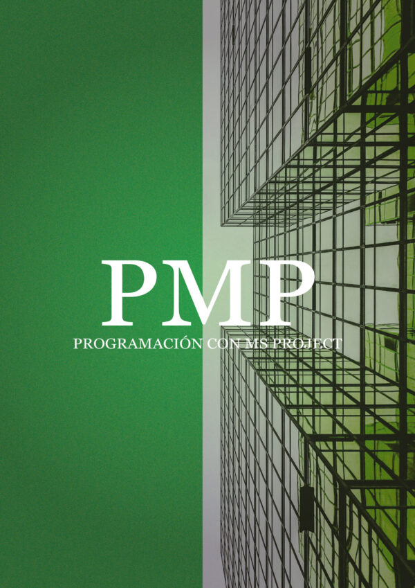 PMP_Mesa de trabajo 1