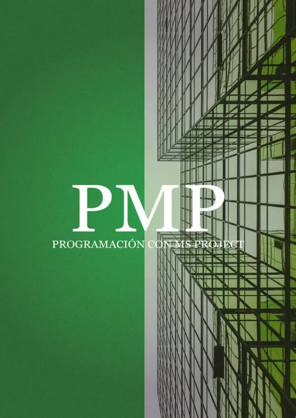 PMP_Mesa de trabajo 1