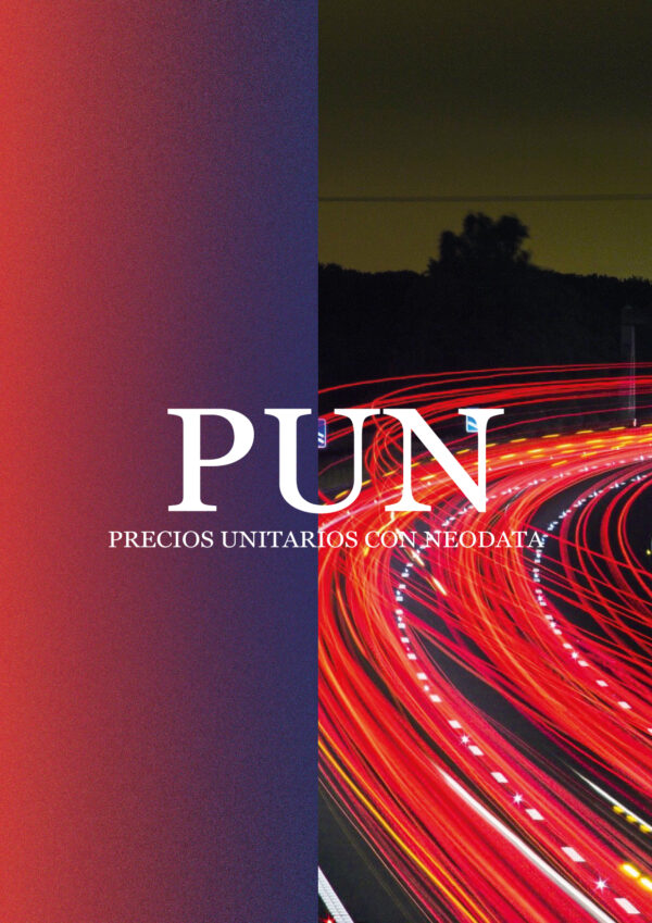 PUN_Mesa de trabajo 1