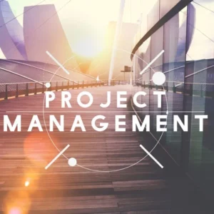 PROGRAMACIÓN CON MS PROJECT (P. PLATINUM)